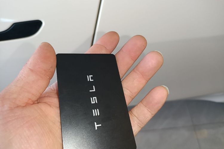 Tesla Model Y 2023 #14 Tesla Model Y 2023 car image #14