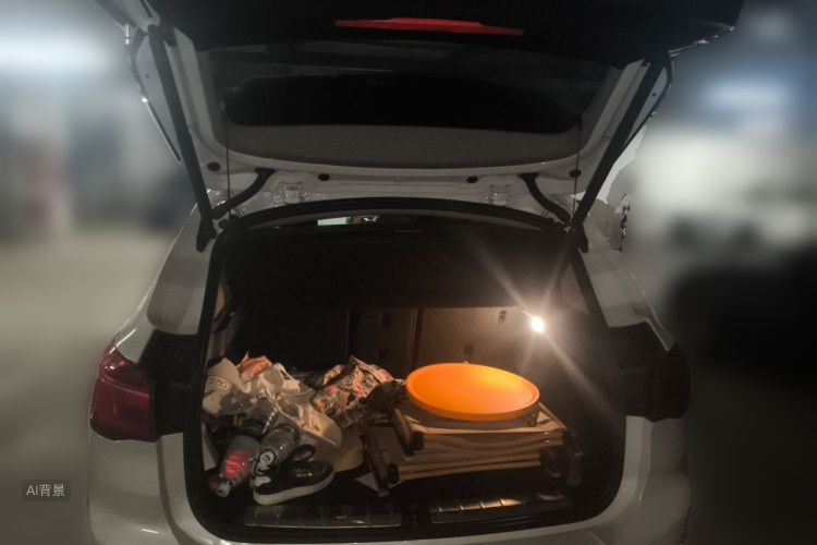 BMW X1 2019 #21 BMW X1 2019 car image #21