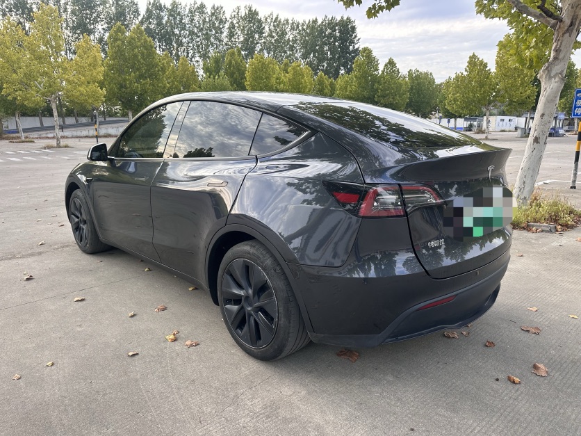 Tesla Model Y 2024 #5 Tesla Model Y 2024 car image #5