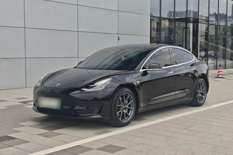 Tesla Model 3 2020 car image #15