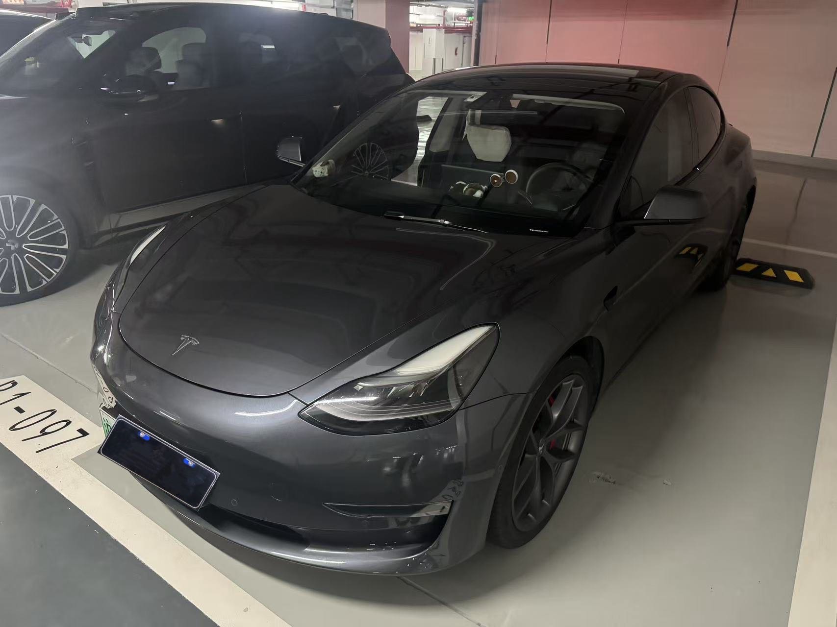 Tesla Model 3 2021 Tesla Model 3 2021 car image