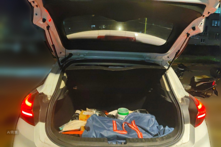 GEELY Emgrand GS 2020 car image #21