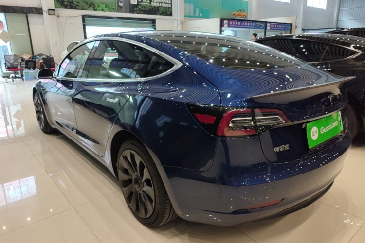 Tesla Model 3 2020 car image #7