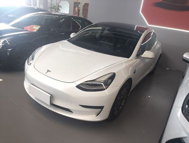 Tesla Model 3 2020 car image 