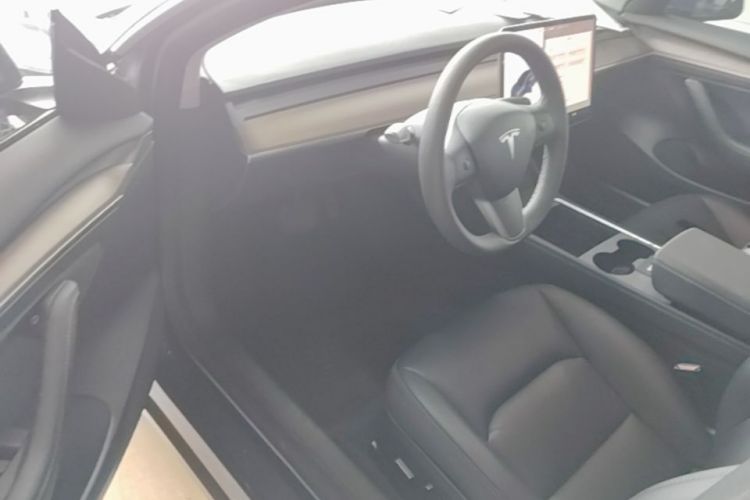 Tesla Model 3 2021 car image #12