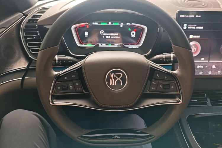 BYD Han 2021 immagine di auto #15