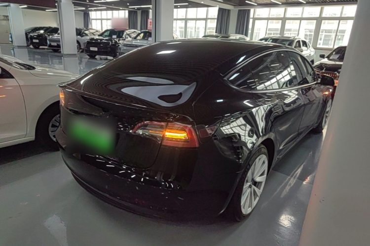 Tesla Model 3 2021 #5 Tesla Model 3 2021 car image #5
