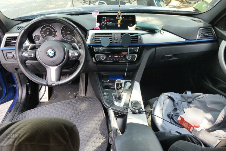 BMW 3 Series 2016 car image #11