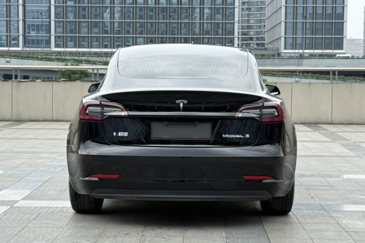 Tesla Model 3 2020 car image #8