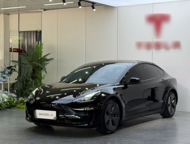Tesla Model 3 2023 Tesla Model 3 2023 car image