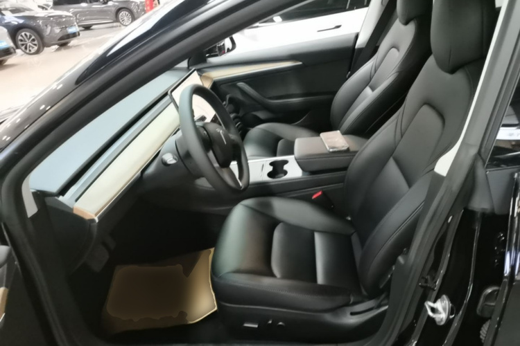 Tesla Model 3 2021 car image #15