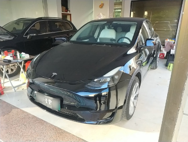 Tesla Model Y 2022 Tesla Model Y 2022 car image