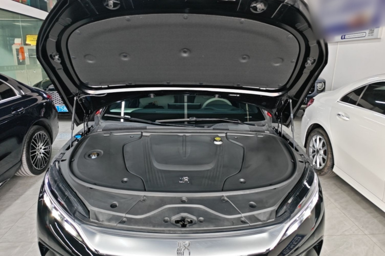 BYD Han 2025 car image #20