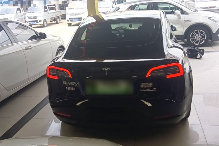 Tesla Model 3 2021 #4 Tesla Model 3 2021 car image #4