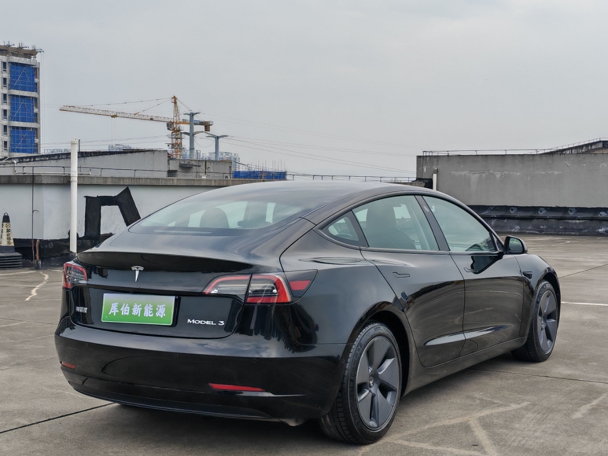 Tesla Model 3 2021 #6 Tesla Model 3 2021 car image #6