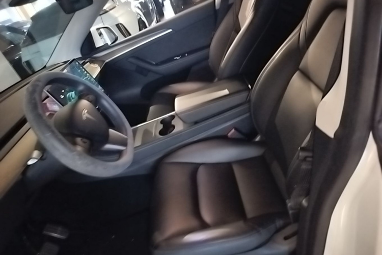 Tesla Model Y 2021 immagine di auto #15