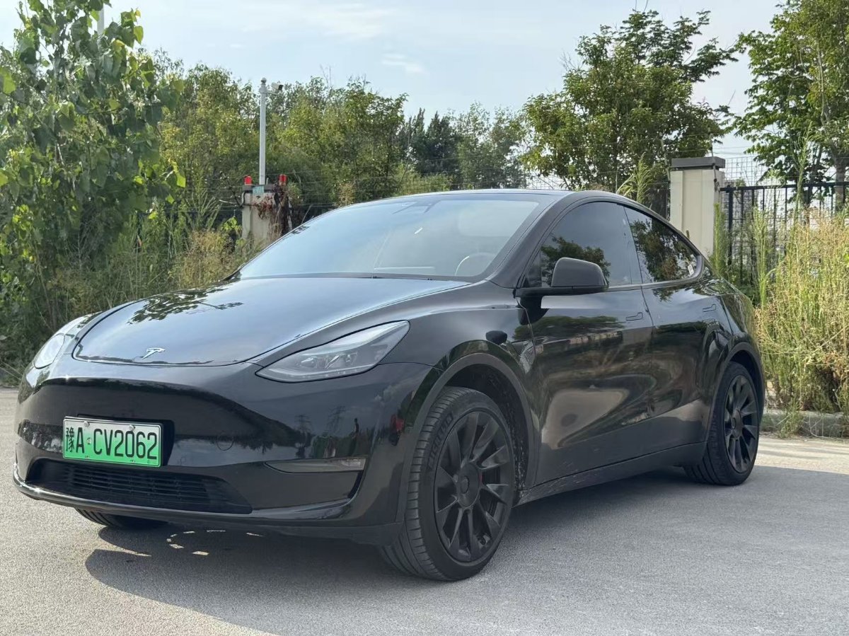 Tesla Model Y 2021 #2 Tesla Model Y 2021 car image #2