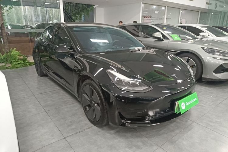 Tesla Model 3 2021 car image #4