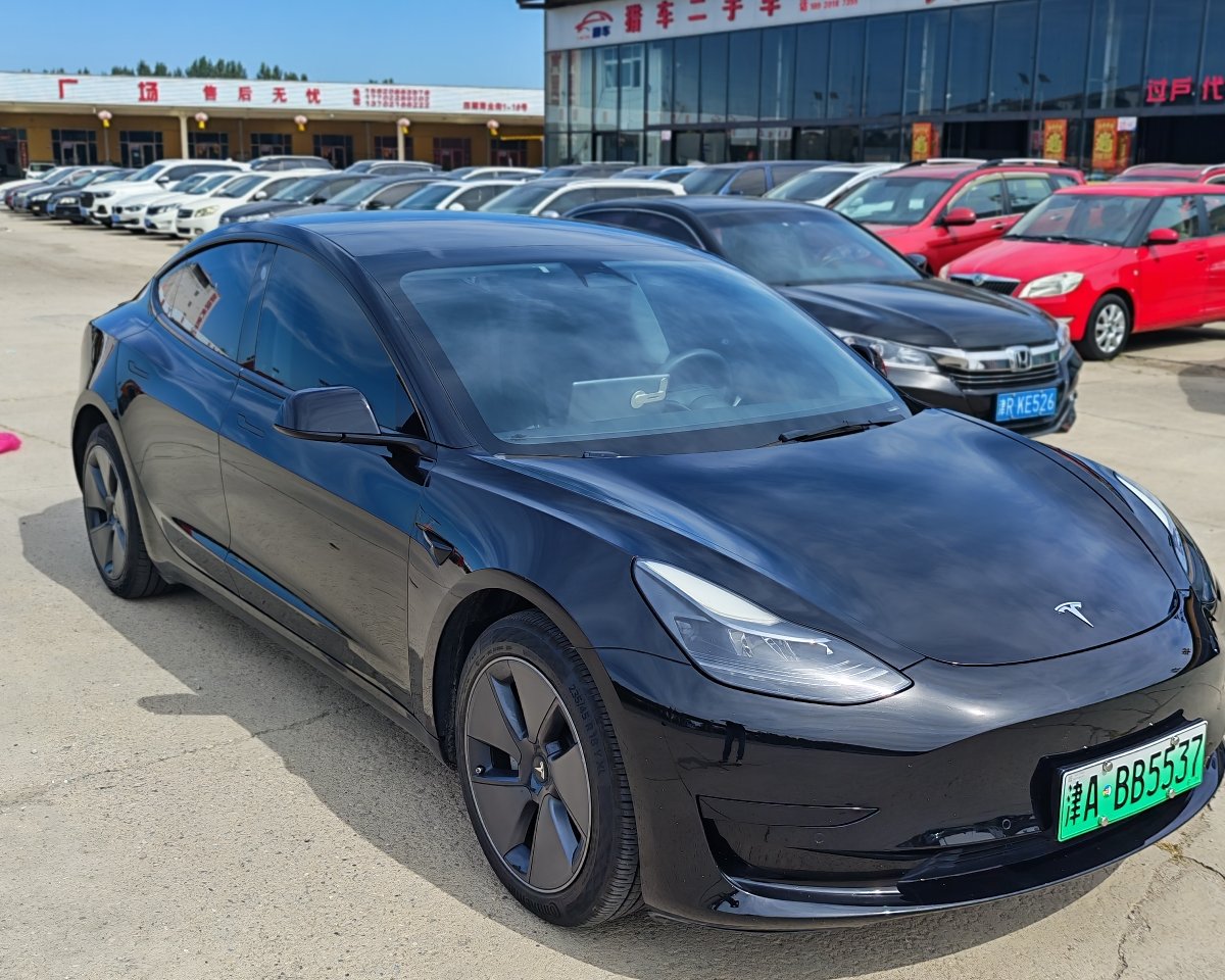 Tesla Model 3 2022 #2 Tesla Model 3 2022 car image #2