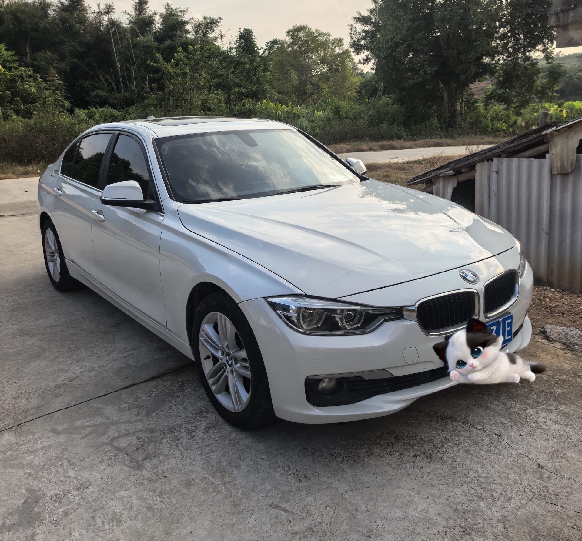 BMW 3 Series 2016 #2 BMW 3 Series 2016 immagine di auto #2