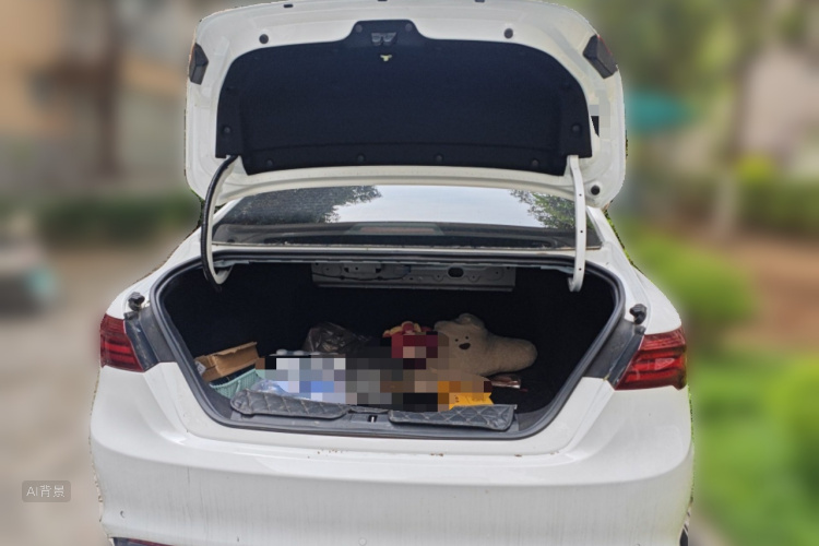 GEELY Binray 2021 image de voiture #21