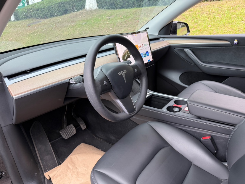 Tesla Model Y 2021 #3 Tesla Model Y 2021 car image #3
