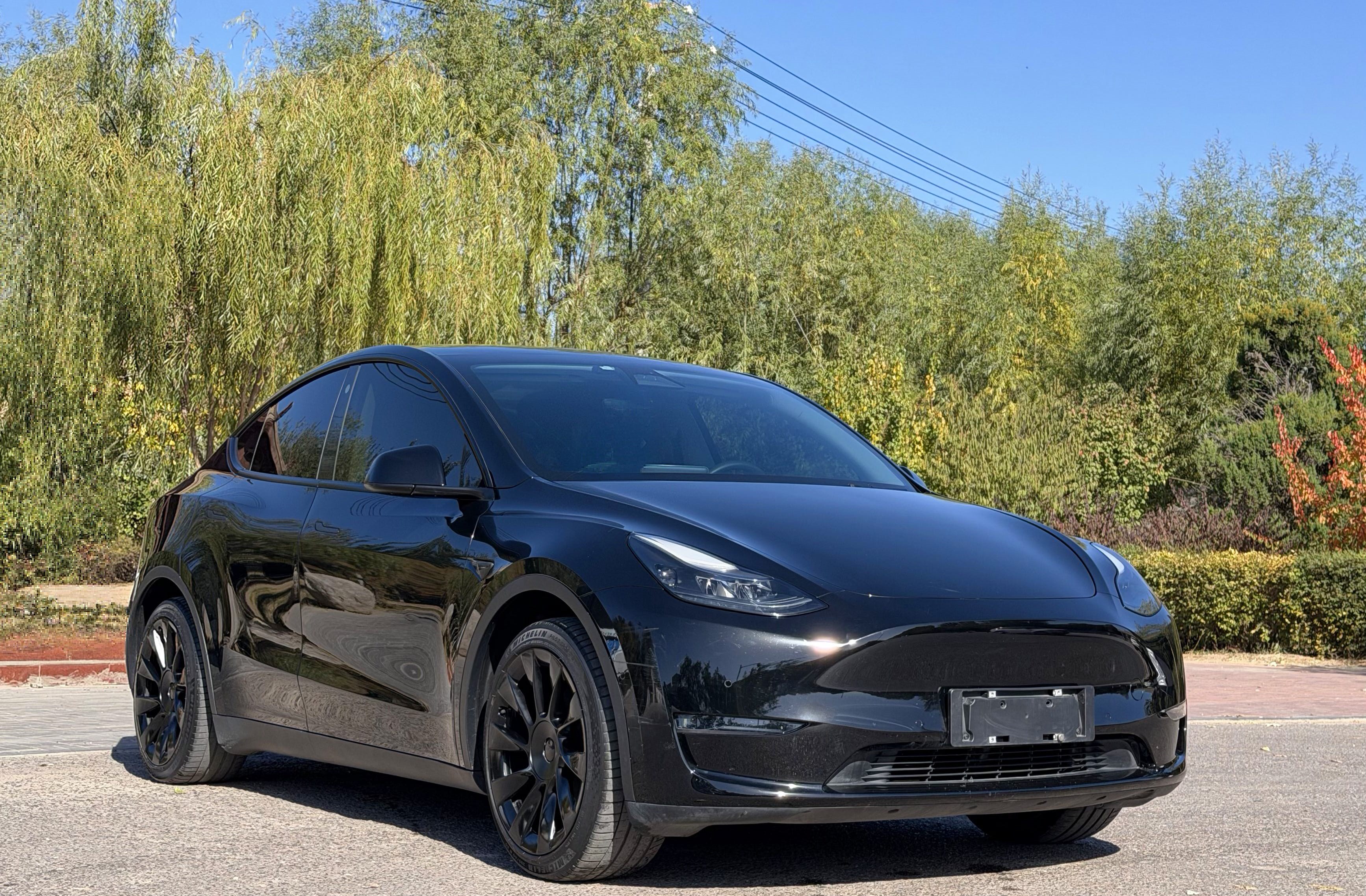 Tesla Model Y 2021 car image #3