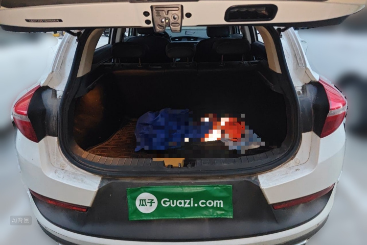 GEELY Emgrand GS 2016 imagem de carro #21