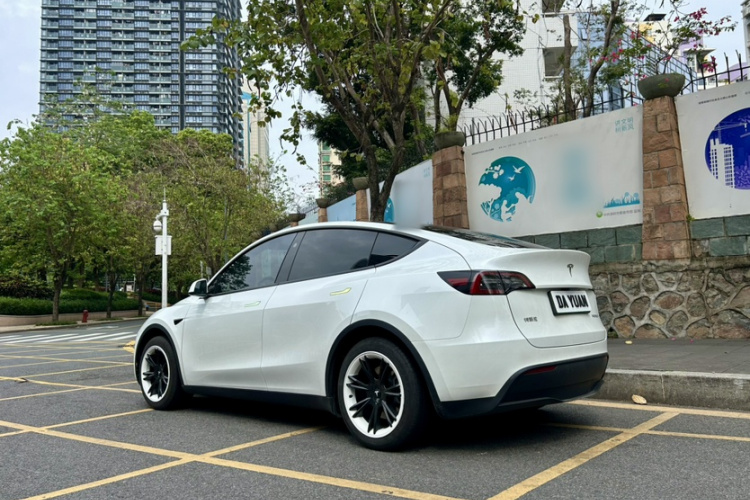 Tesla Model Y 2024 #12 Tesla Model Y 2024 car image #12