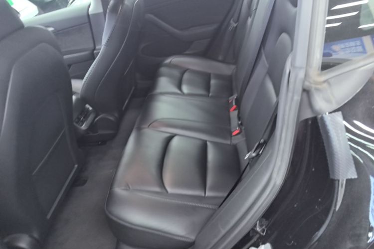 Tesla Model 3 2021 #17 Tesla Model 3 2021 car image #17