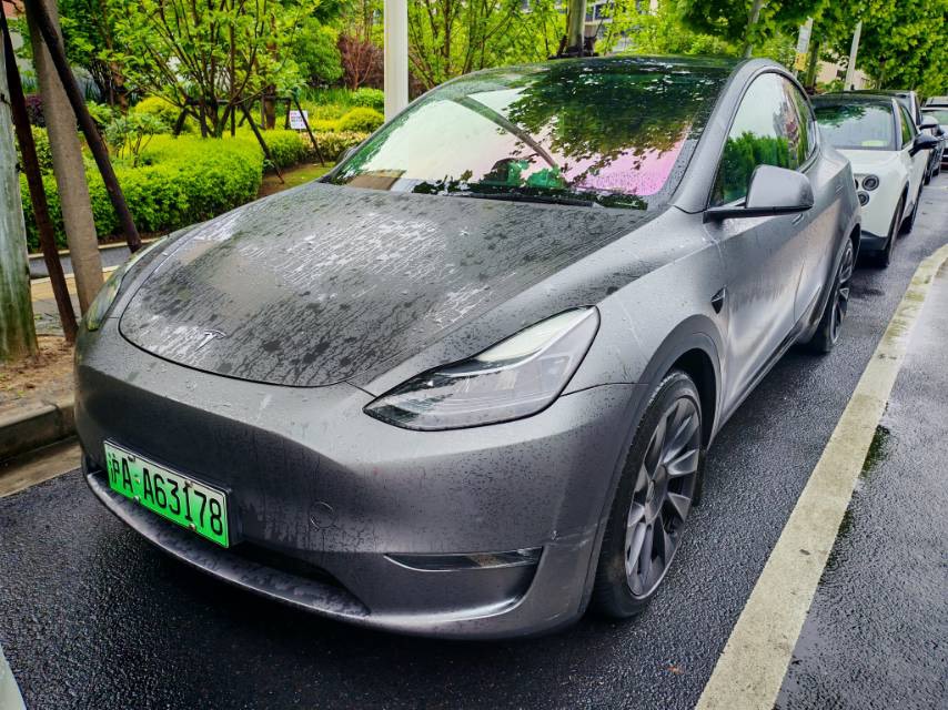 Tesla Model Y 2021 Tesla Model Y 2021 car image