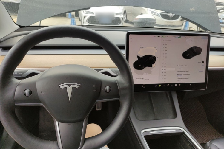 Tesla Model 3 2022 #11 Tesla Model 3 2022 car image #11