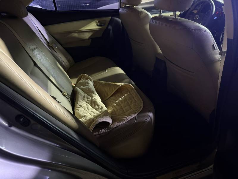 Toyota Corolla 2017 car image #3