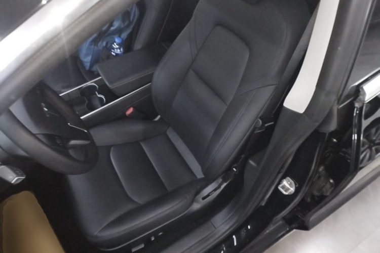 Tesla Model 3 2020 immagine di auto #15