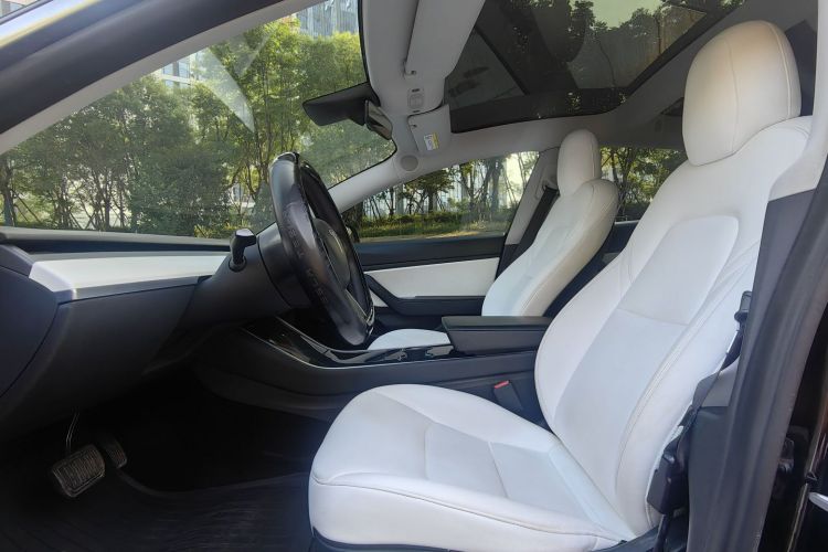 Tesla Model 3 2020 #11 Tesla Model 3 2020 صورة سيارة #11