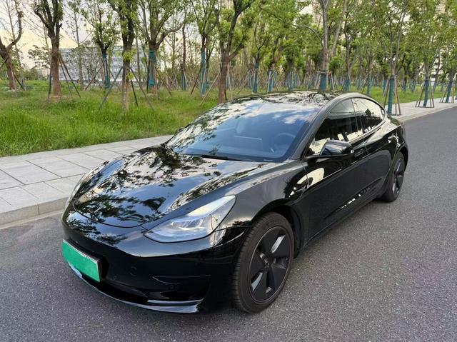 Tesla Model 3 2022 car image #17