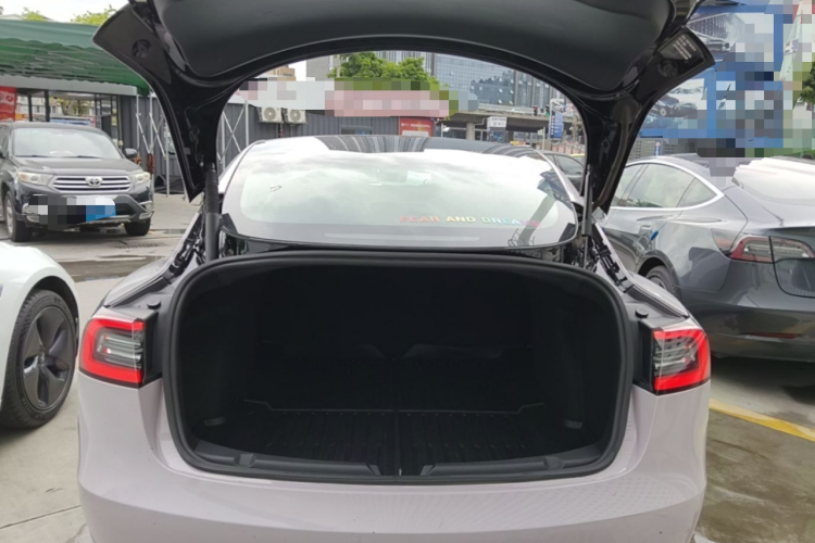 Tesla Model 3 2021 #21 Tesla Model 3 2021 immagine di auto #21