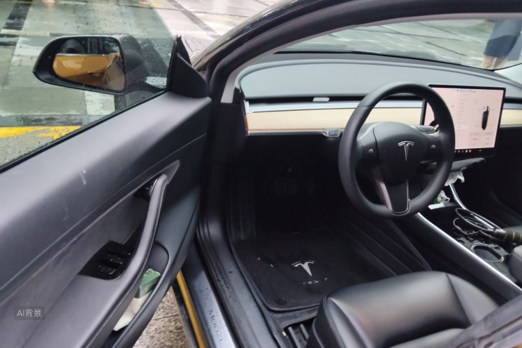 Tesla Model 3 2020 car image #18