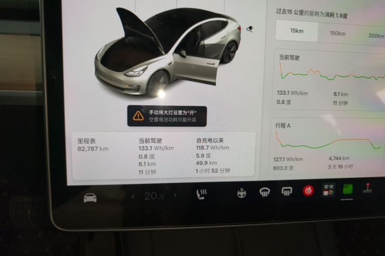 Tesla Model 3 2021 car image #12