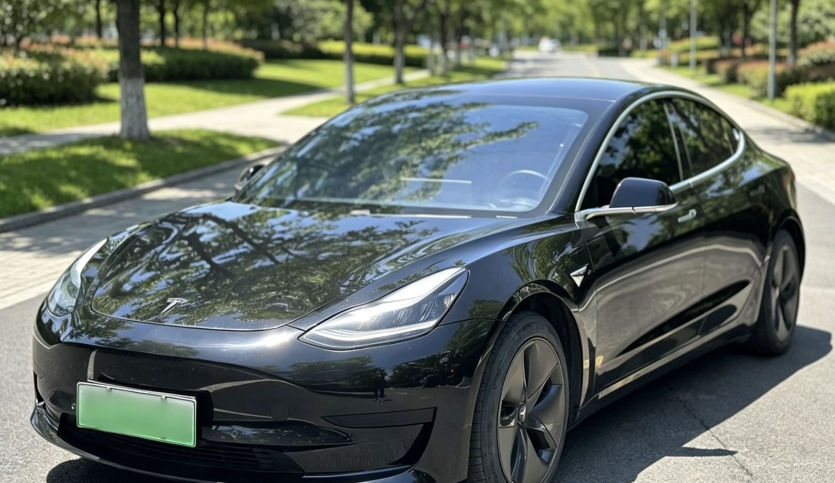 Tesla Model 3 2020 #2 Tesla Model 3 2020 car image #2