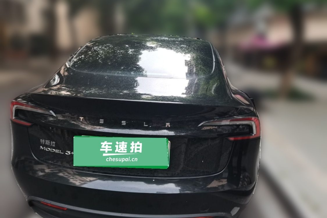 Tesla Model 3 2024 #6 Tesla Model 3 2024 car image #6
