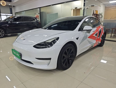 Tesla Model 3 2021 Tesla Model 3 2021 car image
