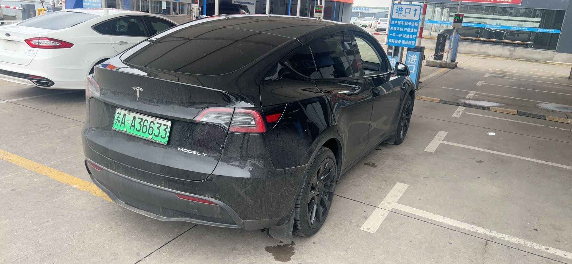 Tesla Model Y 2023 #8 Tesla Model Y 2023 car image #8
