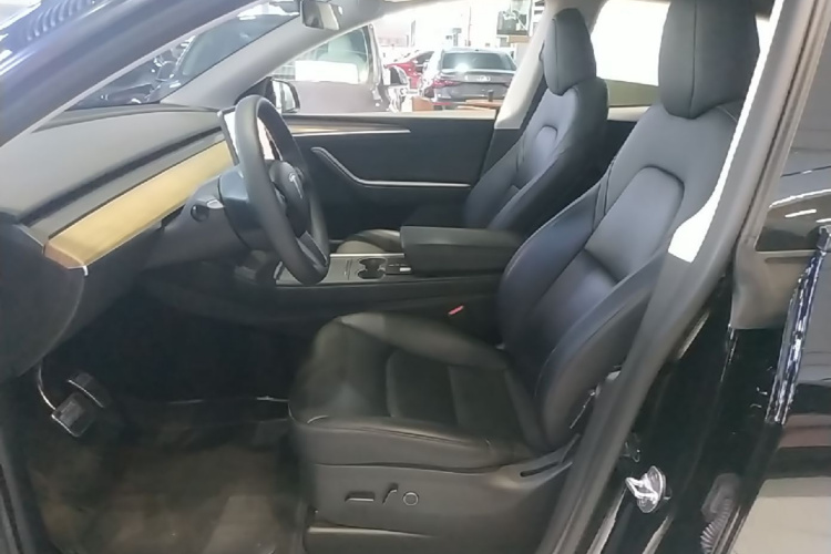 Tesla Model Y 2023 car image #19