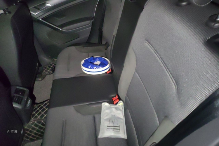 Volkswagen Golf 2019 car image #19