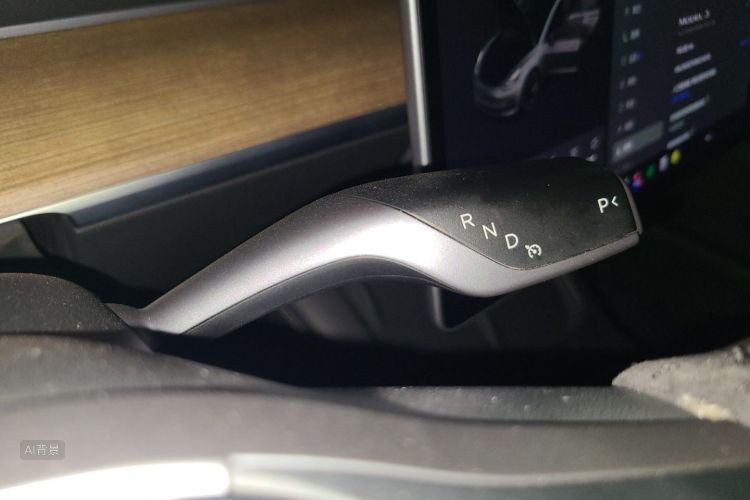 Tesla Model 3 2021 car image #16