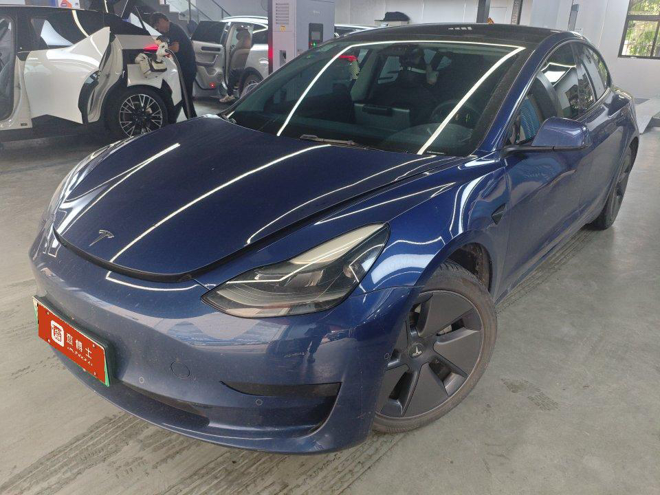 Tesla Model 3 2021 Tesla Model 3 2021 car image
