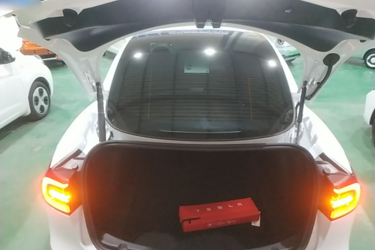 Tesla Model 3 2022 car image #20