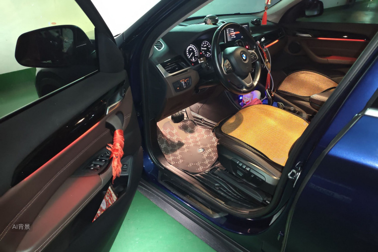 BMW X1 2020 car image #18