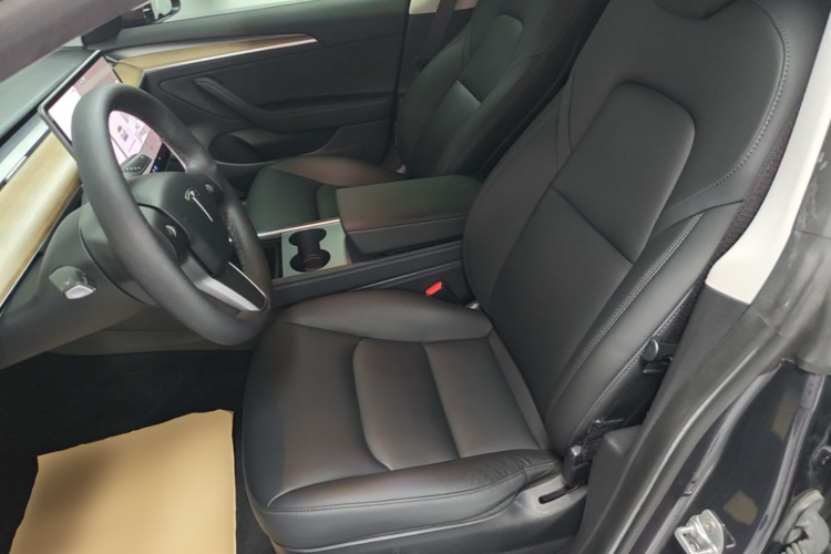 Tesla Model 3 2021 car image #21